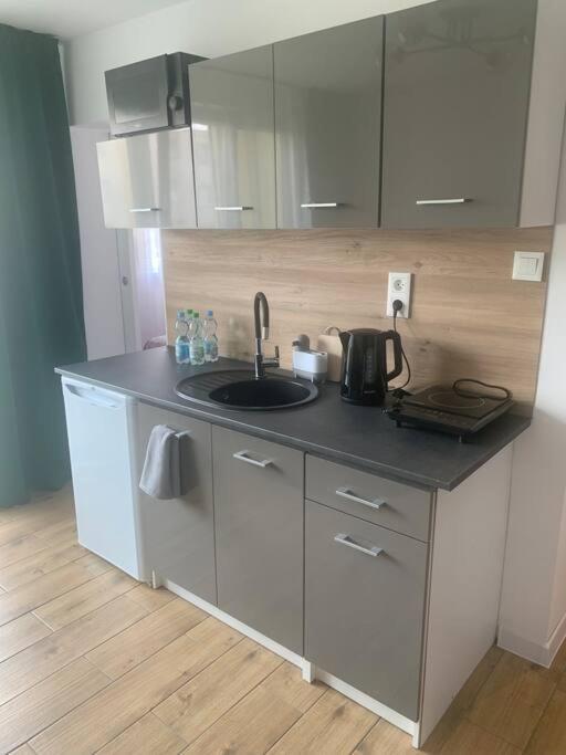 Uroczy Apartament W Centrum Sandomierza Bagian luar foto